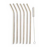 The Guru's Hut Stainless Steel Straws